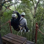 Canopy Tours, Tsitsikamma